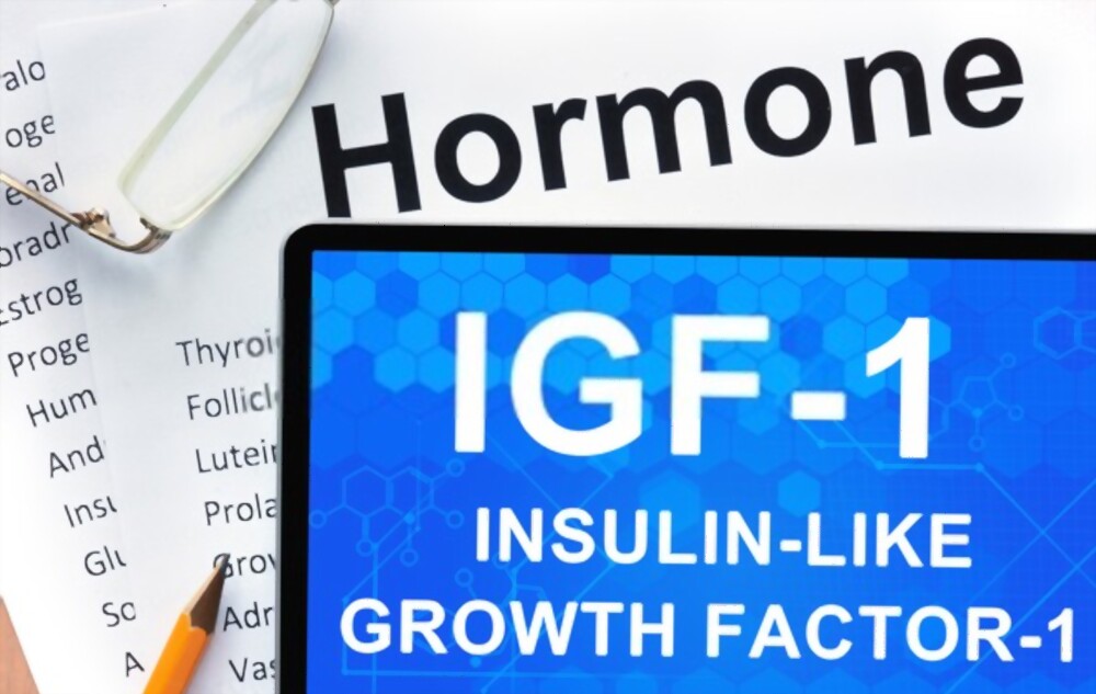 Insuline-Like Growth Factor 1